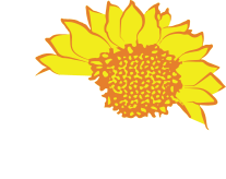 Mid Summer's Art Festival